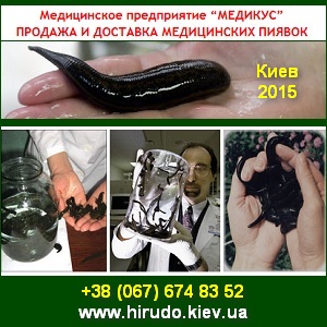 Где Купить Пиявки Медицинские В Красноярске