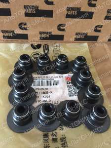    3948568, 3948578 Cummins   6CTA, 68,3, QSC, ISL, QSL - 