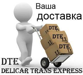    Delicar Trans Express DTE