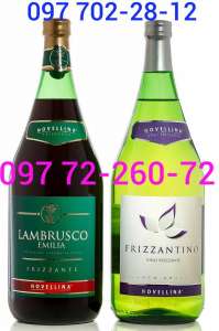    Frizzantino Novellina Amabile Bianco 1. 5L  92 .