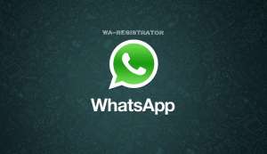   WhatsApp - 
