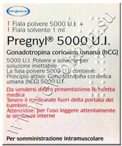   5000 (Chorionic Gonadotropin) 