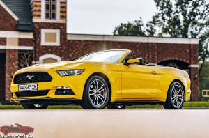   Ford Mustang - 
