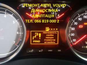   Volvo # 36001817, 36000662, 31367035, 31256845, 31256837, 8251720, 30713948, 9480761, 8636197, 30651854