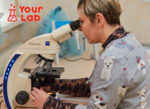   Your Lab     - 