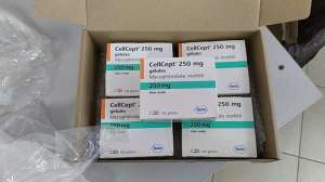  250 . Cellcept 250 mg () - 