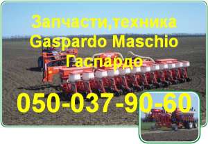  F01240024     Gaspardo - 