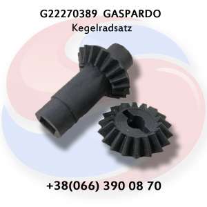  G22270389  2+2 Gaspardo - 