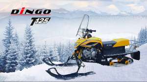  Irbis Dingo T125: ,   . , ,  ,   ,  