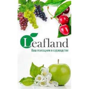 - Leafland -        - 