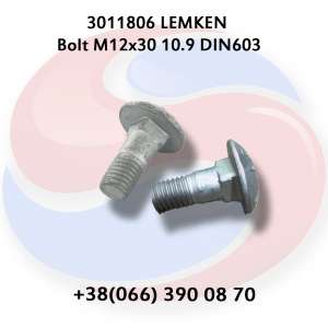  M12*30-10.9 3011806 Lemken