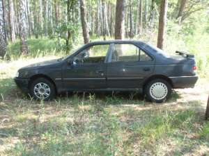  peugeot 405