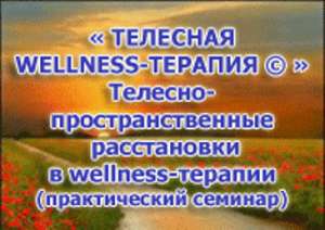  WELLNESS - Wellness bodywork