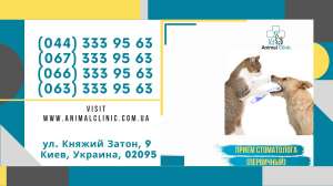 51593 вылеченных животных - объявление