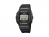    CASIO G-SHOCK DW-5600E-1VQ  