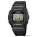    CASIO G-SHOCK DW-5600E-1VQ  