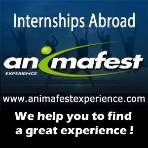Animafest Experience. Стажировки за границей - оголошення