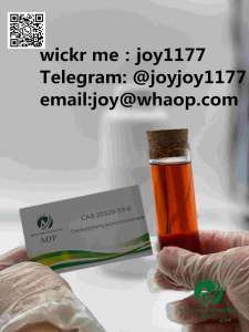 CAS 28578-16-7 new pmk oil pmk replacement PMK ethyl glycidate - 
