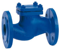 CHECK VALVES SUPPLIERS IN KOLKATA - 