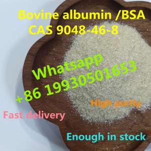 Chinese factory sell Bovine Serum Albumin with CAS 9048-46-8 BSA (whatsapp +8619930501653)