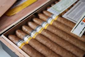 Cohiba Piramides 180  - 