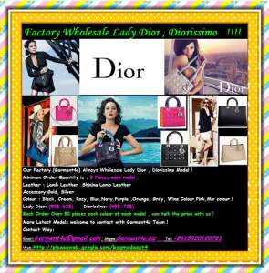 Dior , Prada ,Fendi, Valentino, Bvlgari, Gucci ,Chanel, Hermes , Miu Miu , YSL , Celine , Chloe , Bottega , Louis Vuitton leather