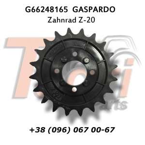 G66248165 ǳ Z-20 Gaspardo