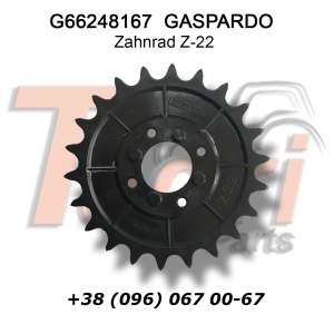 G66248167 ǳ Z-22 Gaspardo