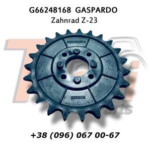 G66248168 ǳ Z-23 Gaspardo
