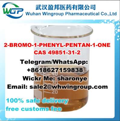  2. +8618627159838 Buy 2-BROMO-1-PHENYL-PENTAN-1-ONE CAS 49851-31-2 to Russia/Ukraine/USA/Australia