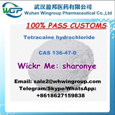  5. +8618627159838 Lidocaine CAS 137-58-6 Benzocaine/Tetracaine with High Quality 100% Customs Clearnace and Good Price