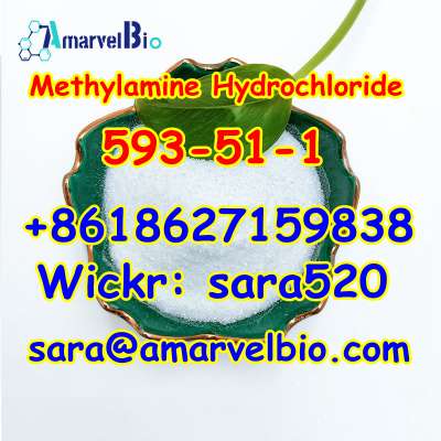  3. +8618627159838 Methylamine Hydrochloride CAS 593-51-1 Research Chemical with Fast Delivery