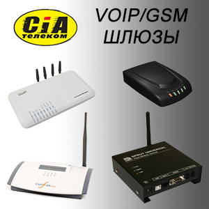 GSM/VoiP     - 