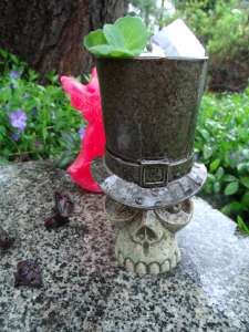 iki  Mysterious skull - , 