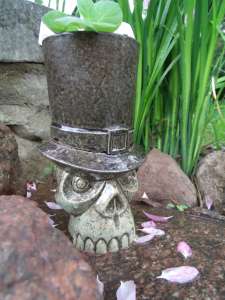 iki  Mysterious skull - , 