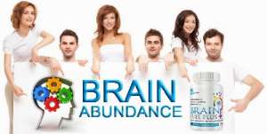 MLM BrainAbundance.  .