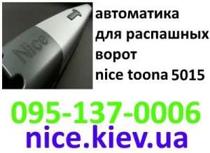 _Nice Toona 5015       
    - 