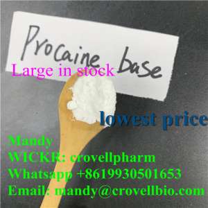 Procaine base CAS 59-46-1(whatsapp +8619930501653