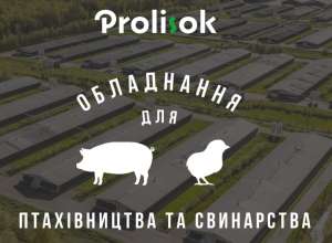 PROLISOK