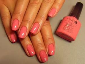 Shellac - 80, - 100, , , 