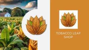 Tobacco Leaf Shop:     ! - 