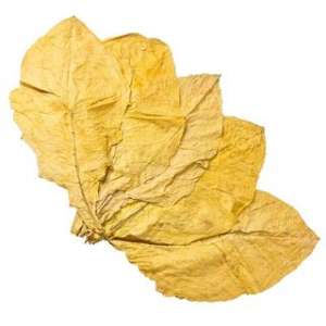 Tobacco Leaf Shop:     !