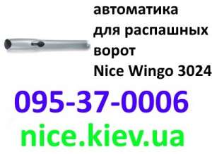 Wingo 3024 Nice    ()      - 
