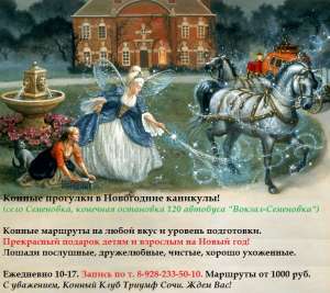 Кони в Сочи. Конные прогулки в новогодние каникулы 2019-2020 - оголошення