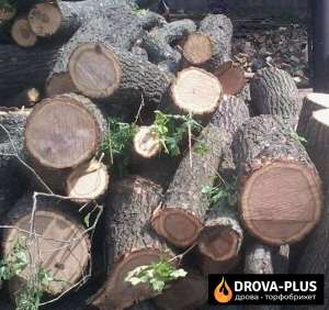 Купити дрова в Луцьку за найкращими цінами - оголошення