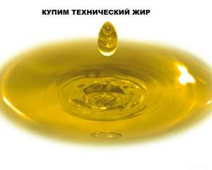 Куриный жир технический. Закупаем все виды технических жиров. - объявление