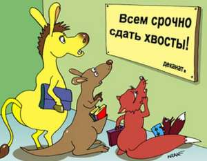Лучшие курсовые, дипломы и контрольные работы на заказ! - оголошення