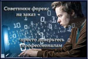 Написание советников, индикаторов , скриптов на заказ для MT4 и MT5 - объявление
