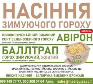 Насіння озимого гороху Авірон, Баллтрап - оголошення