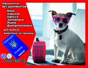 Оформлення документів для вивезення собаки з України до Європи - оголошення